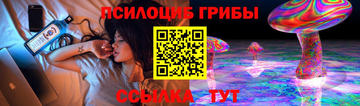 Галлюциногенные грибы Psilocybine cubensis  Вход с VPN  цена   Буйнакск  Галлюциногенные грибы Psilocybe 