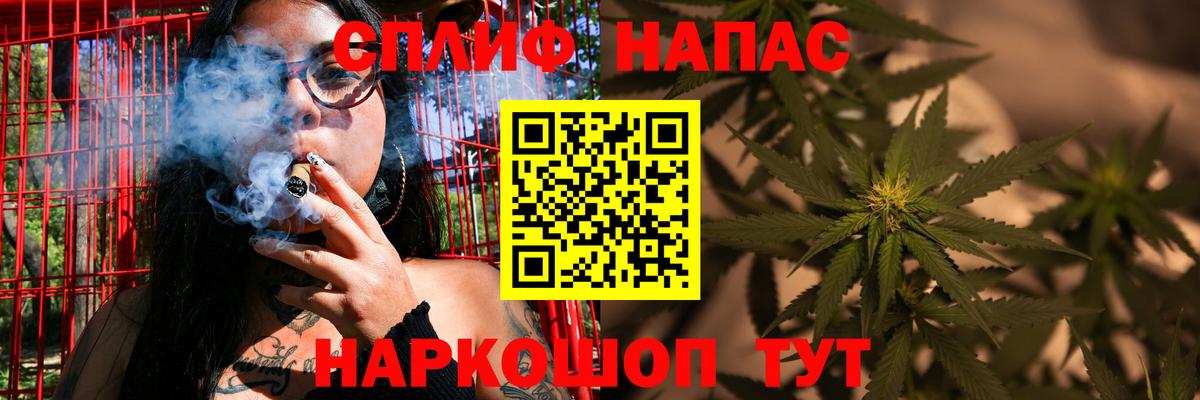 Каннабис индика Буйнакск